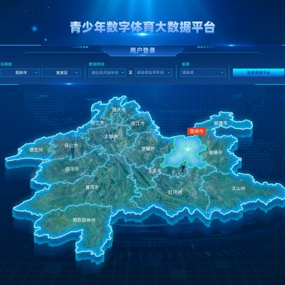 数据可视化大屏开发